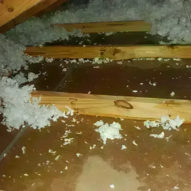 Attic Water Damage in Clendenin, WV